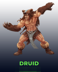 Druid vocation