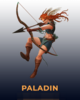Paladin