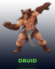 Druid